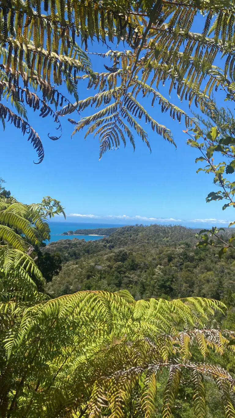 Abel Tasman