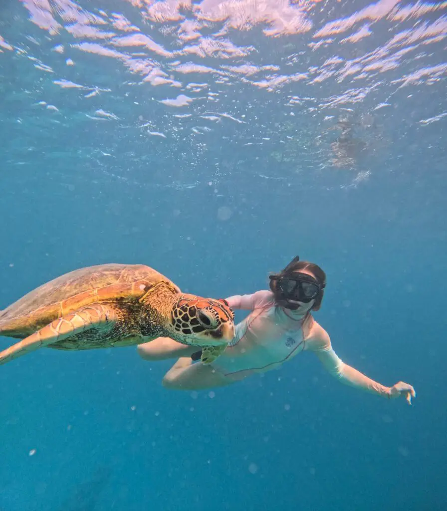 Snorkelling with turtles in Avaavaroa passage