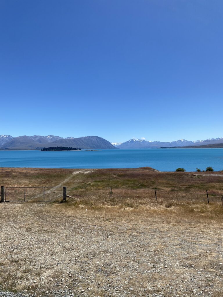 Motuāriki Viewpoint