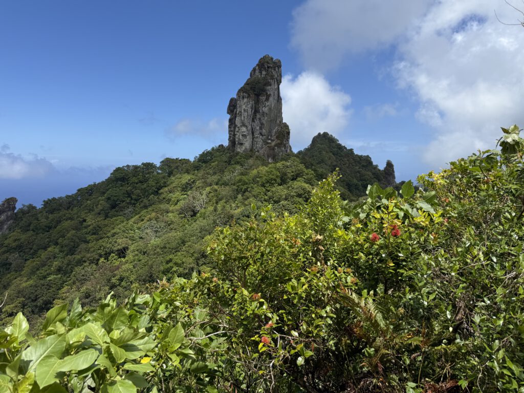 Te Rua Manga (The Needle)