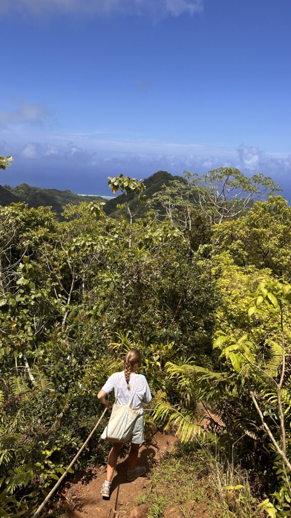 South way down from The Needle