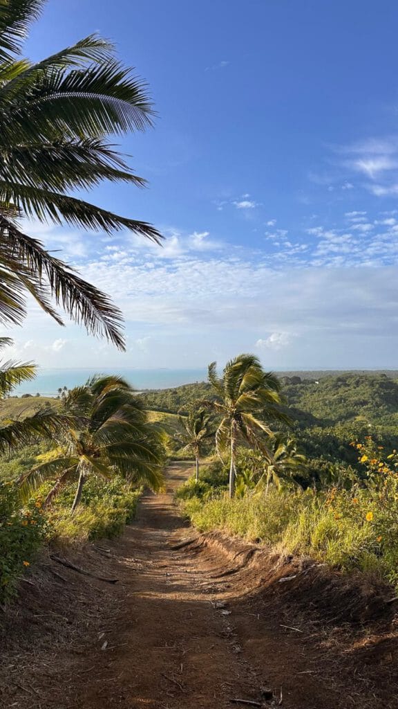View on the way down from Maungapu