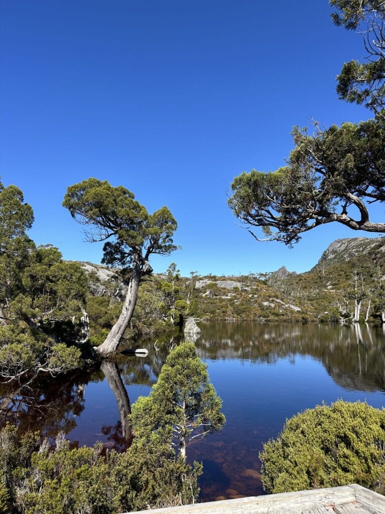 Wombat Pool Tasmania Cradle Mountain