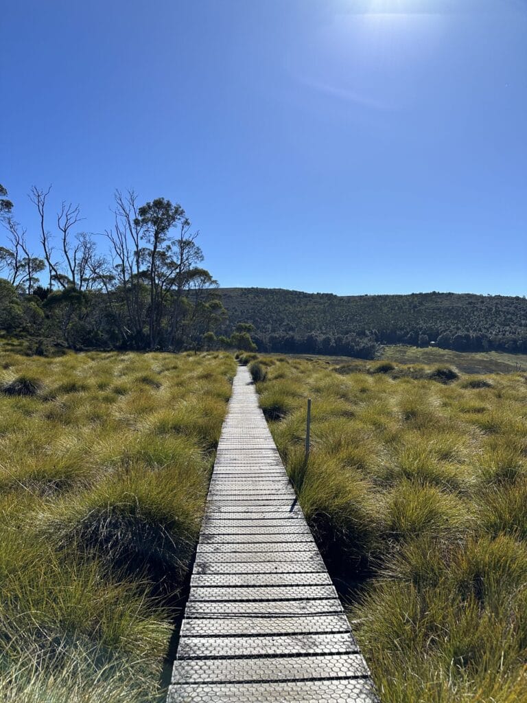 Lake Lilla Track Cradle Mountain Tasmania