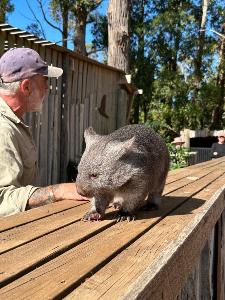 Trowunna Wildlife Sanctuary Tasmania