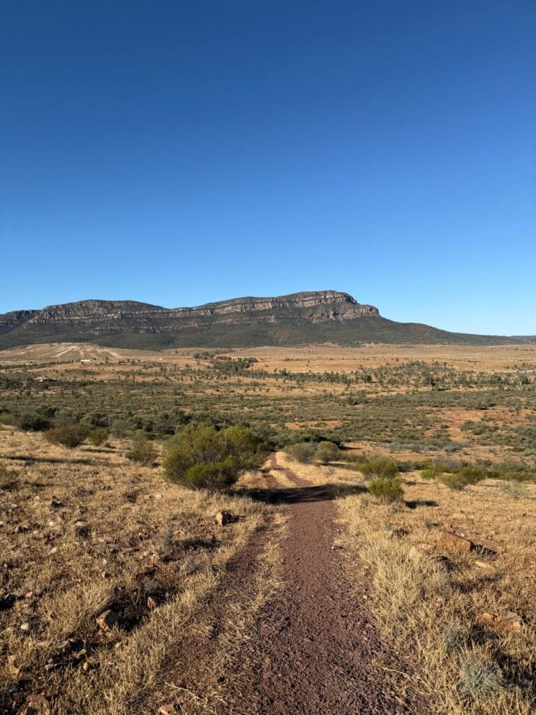 Wilpena Pound from Rawnsley Park