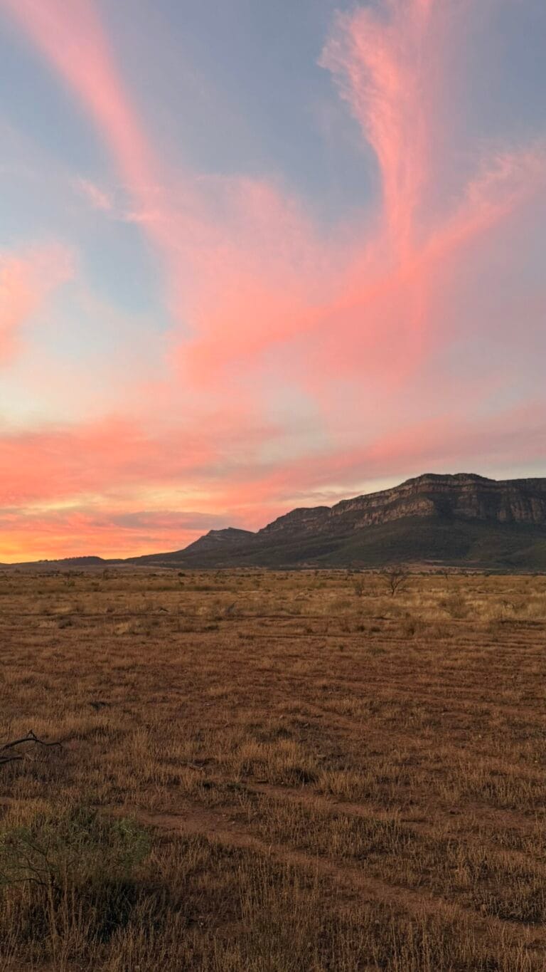 Sunset over Wilpena Pound