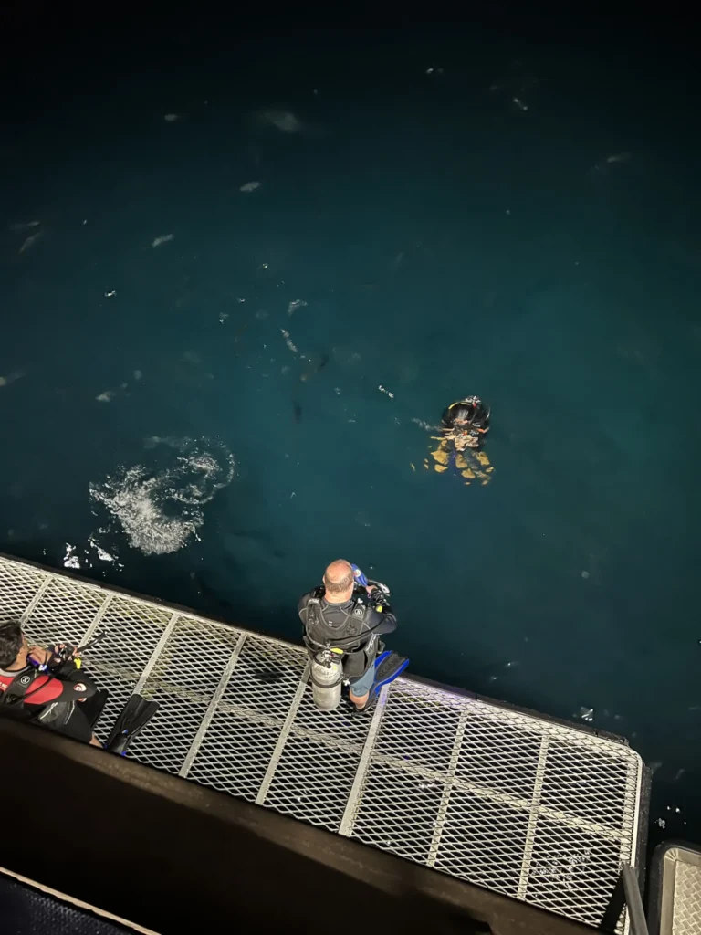 Night Dive on Great Barrier Reef