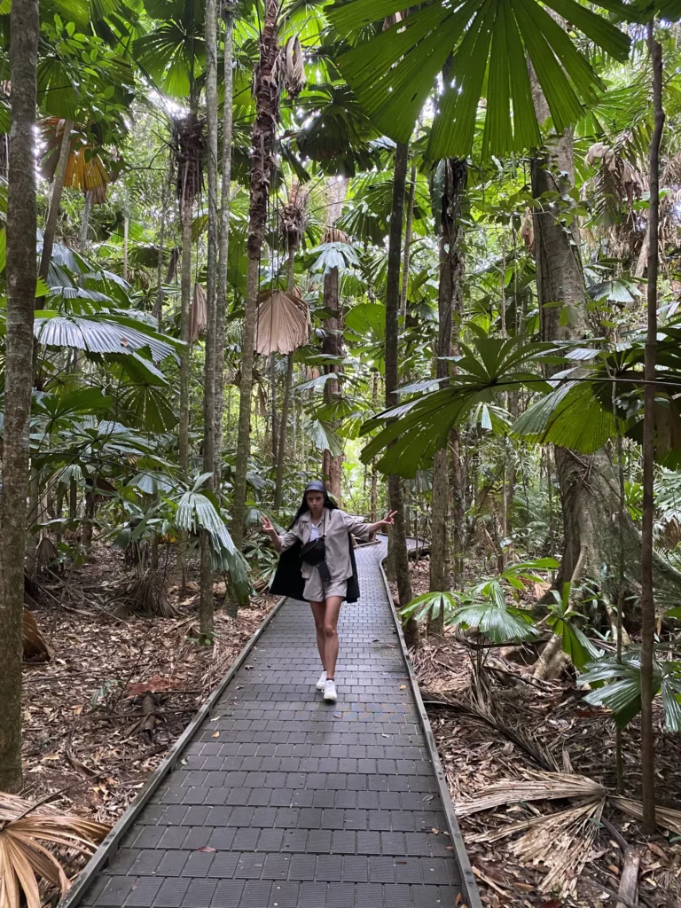 Dubuji Boardwalk Daintree