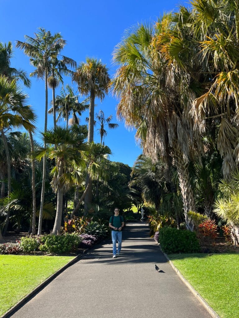 Sydney Botanic Gardens