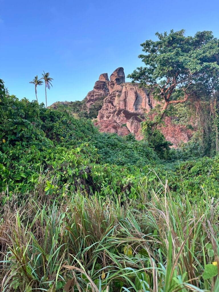 Vatuvula Hike