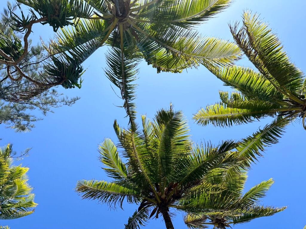 Fiji Yasawa Islands travel itinerary