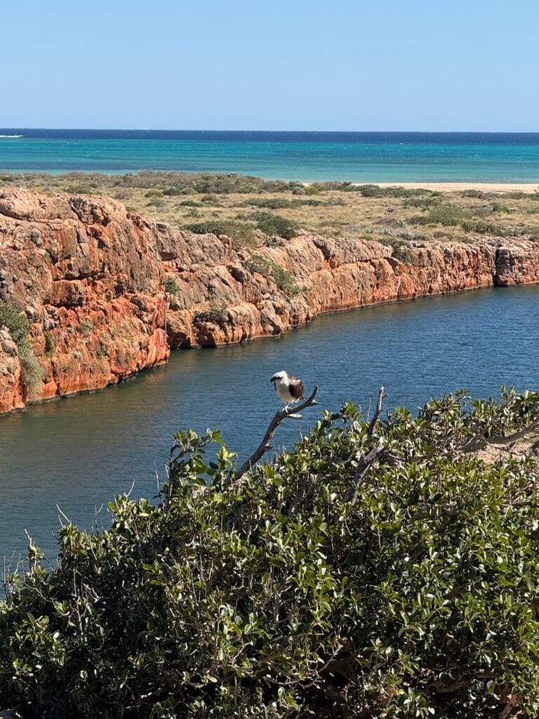 Yardie Creek Gorge