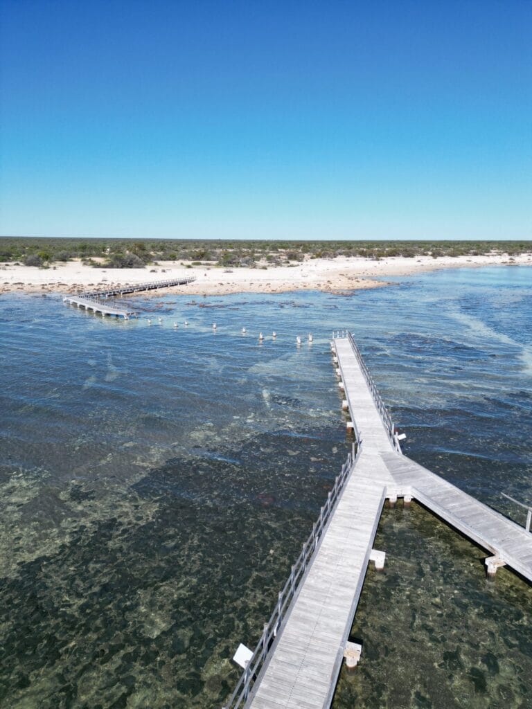 Hamelin Pool Stromatolites