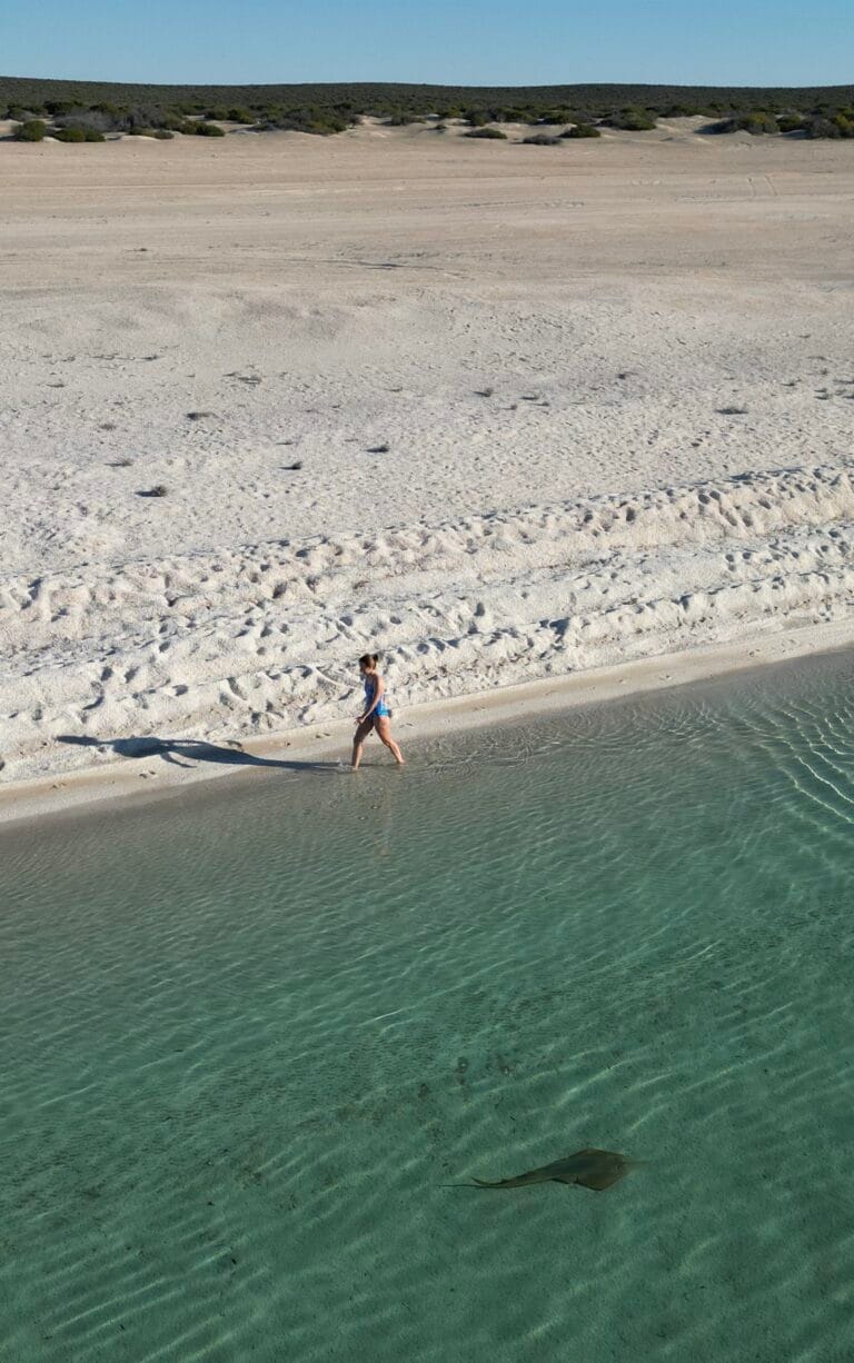 Shell Beach Shark Bay