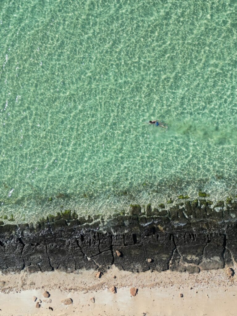Swim at Herald Bight